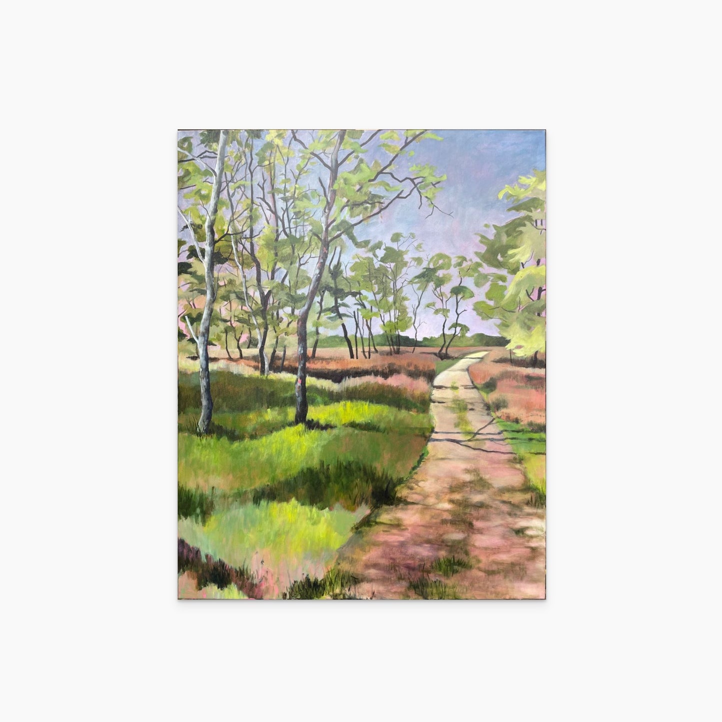 Bald wachsen hier Blaubeeren