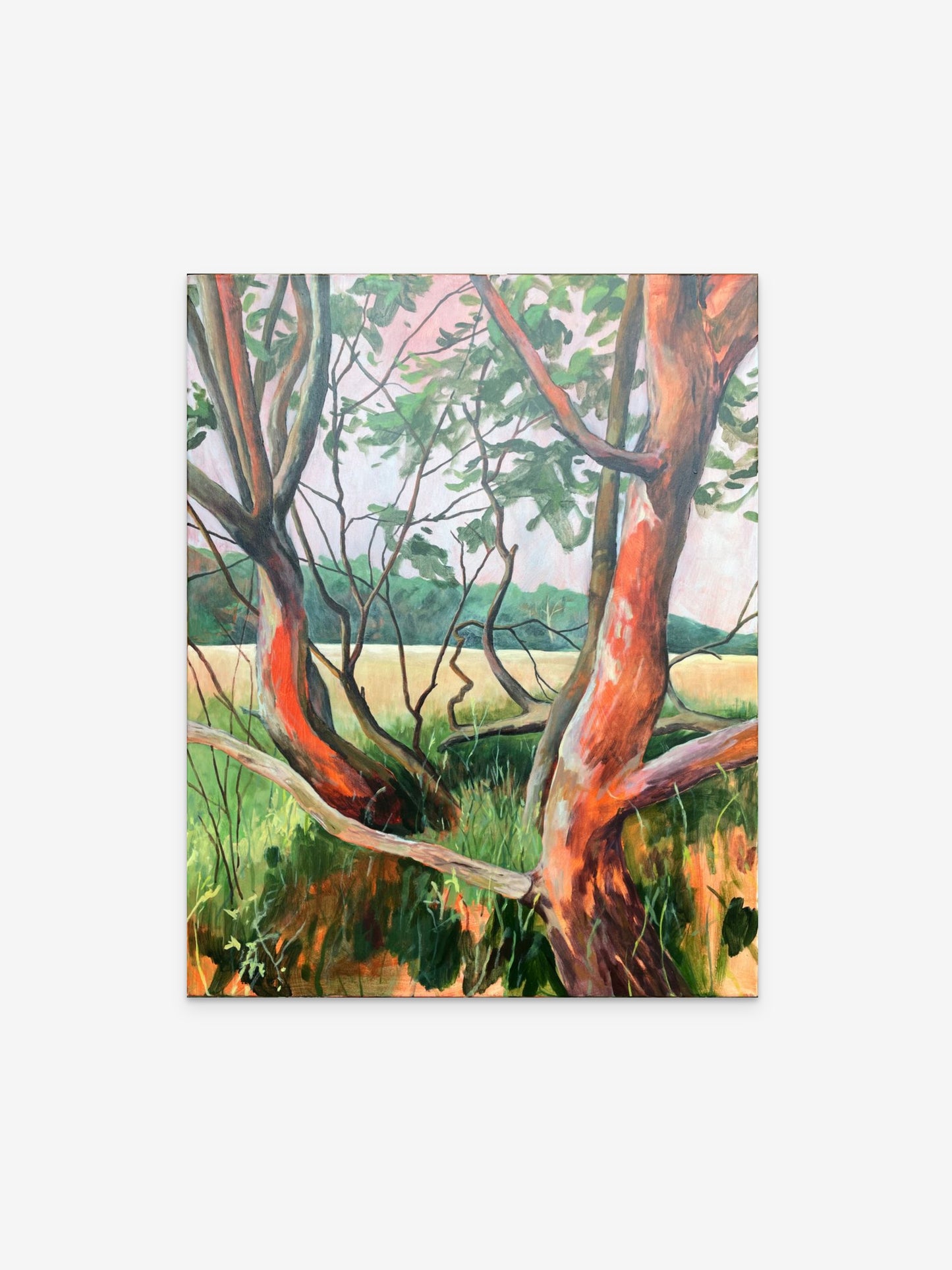 Der Wetterbericht hatte unrecht