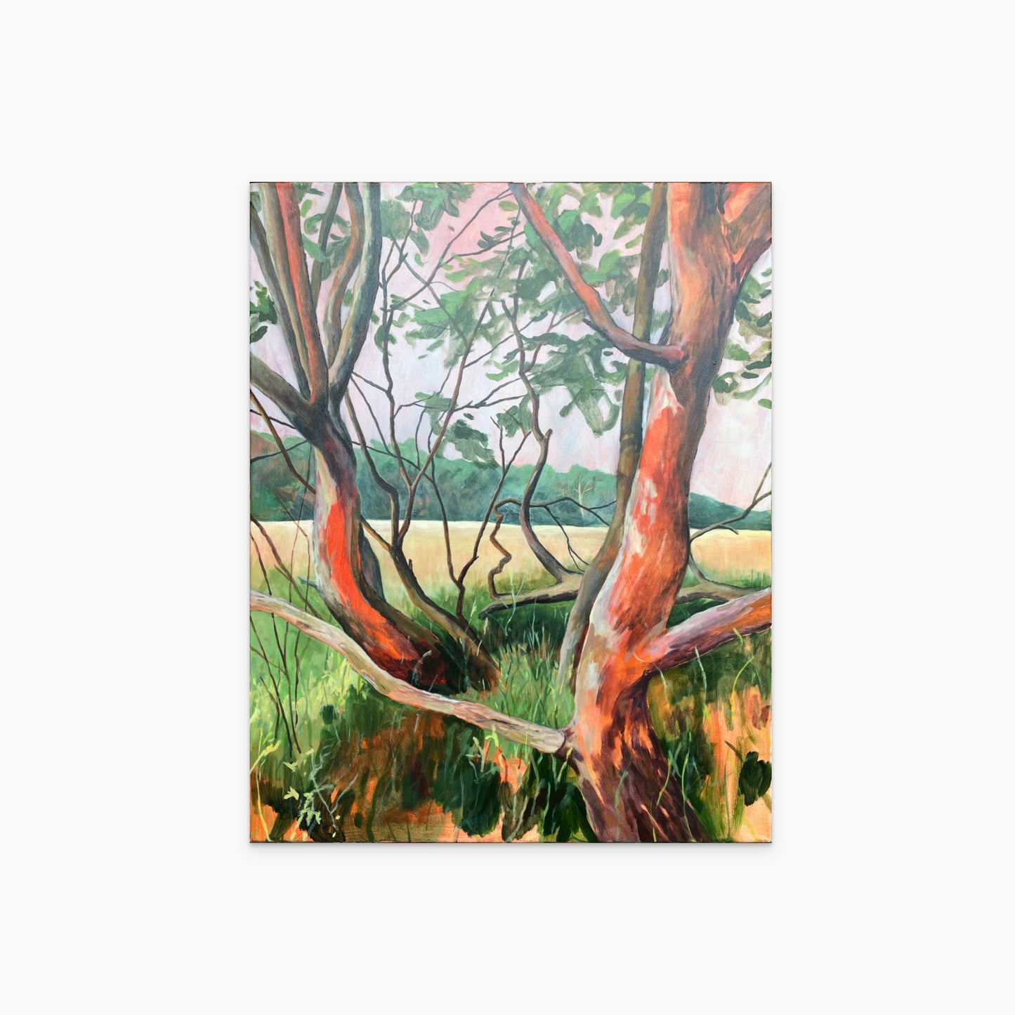 Der Wetterbericht hatte unrecht