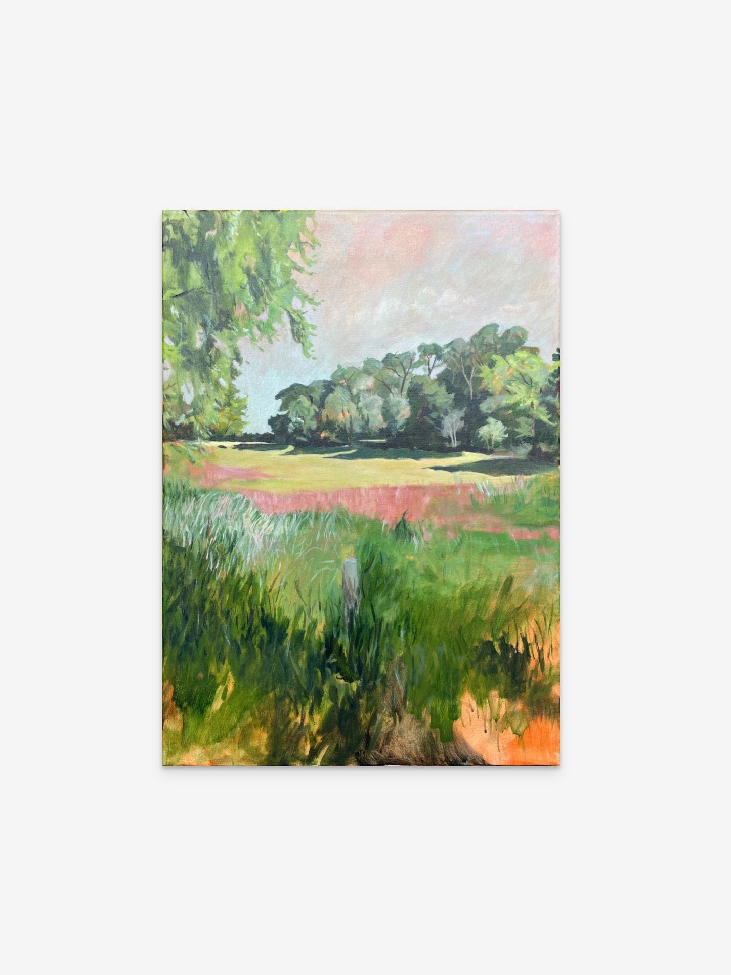 The deers are hiding behind the trees