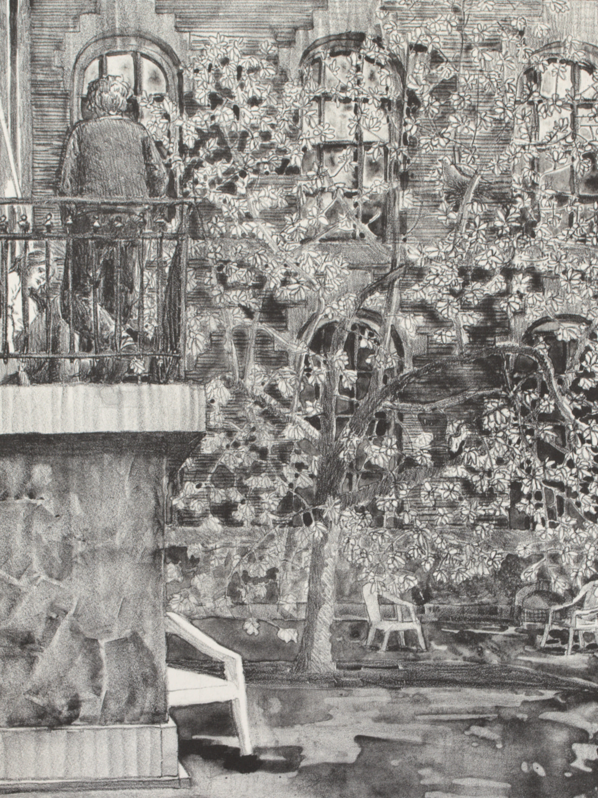 Magnolie II (Lithografie)