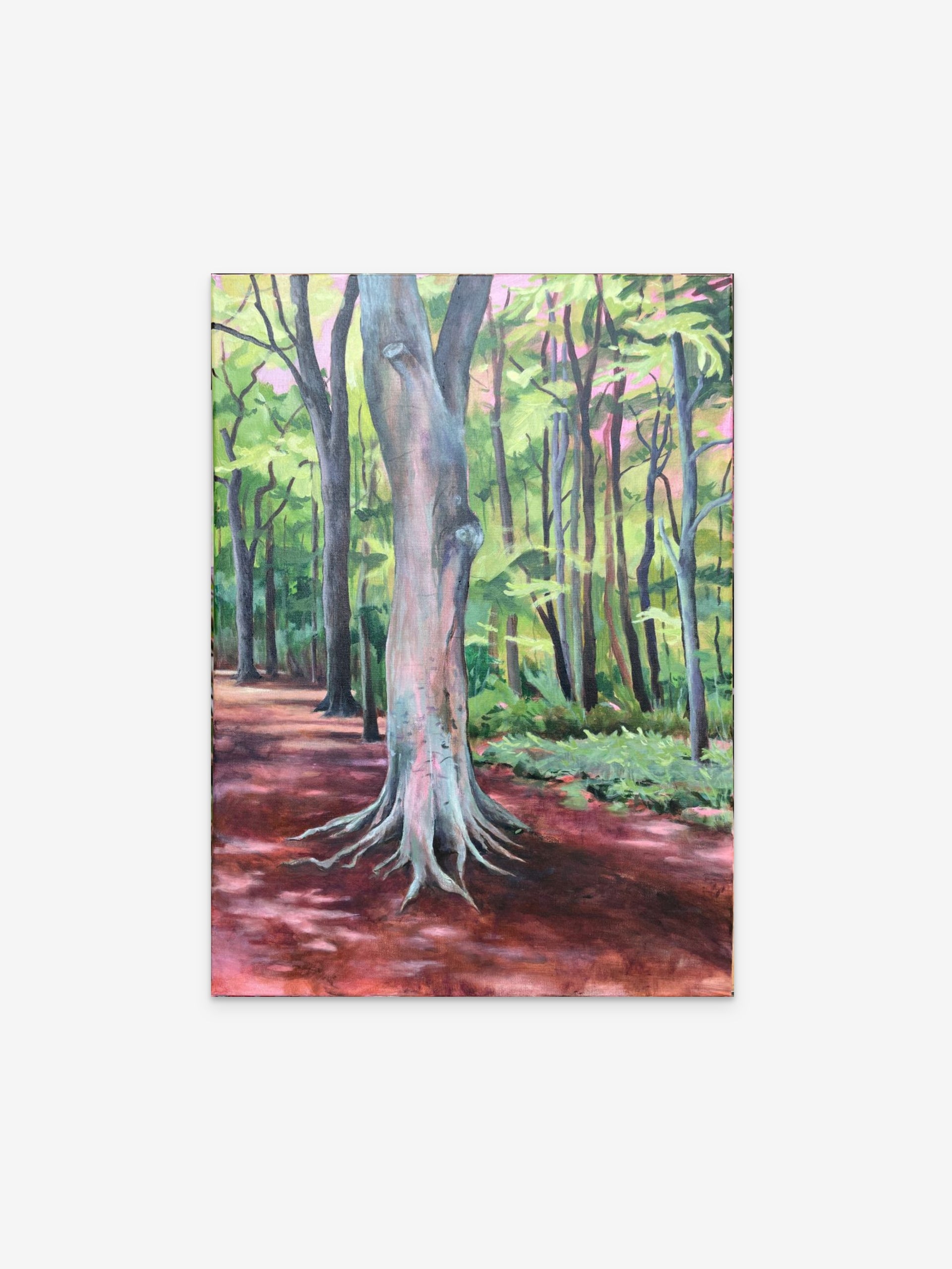 Der Wald war doch nicht zu viel