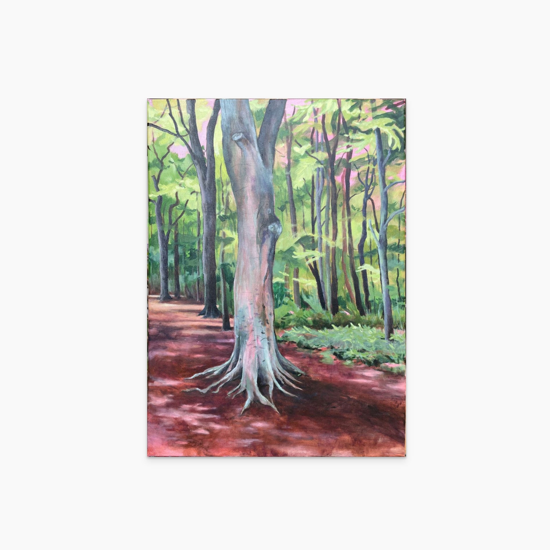 Der Wald war doch nicht zu viel