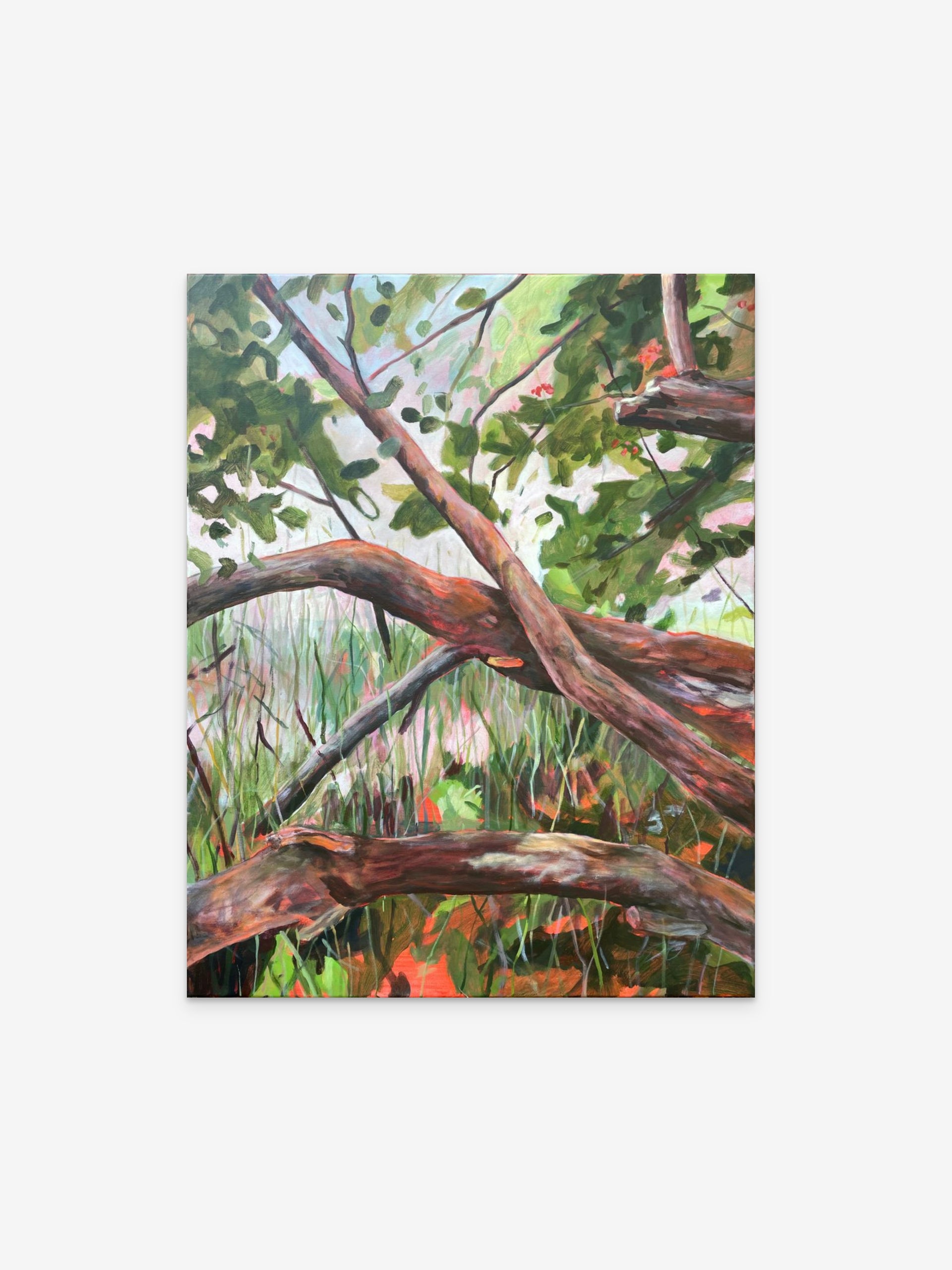 Lachen hinterm Schilf