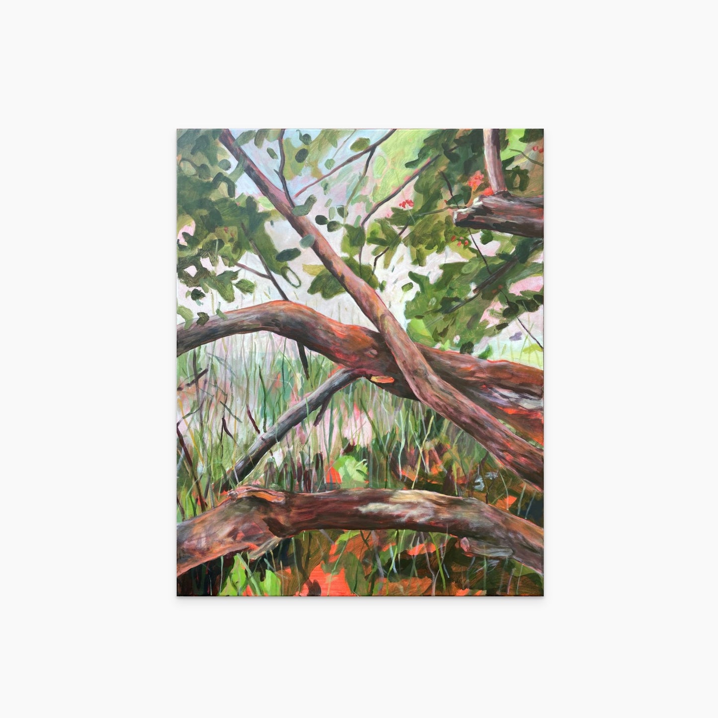 Lachen hinterm Schilf