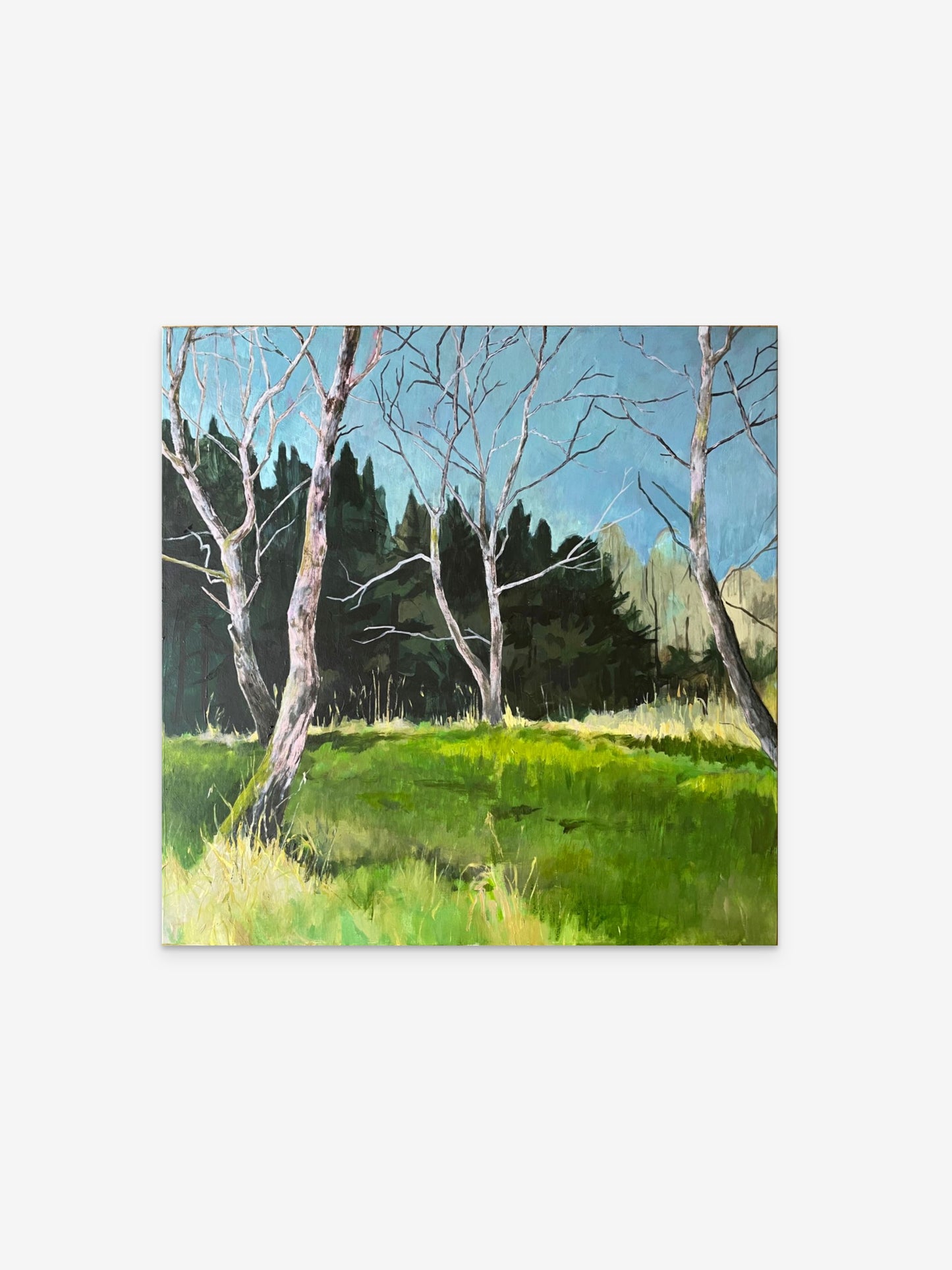 Wildschweine im Gebüsch