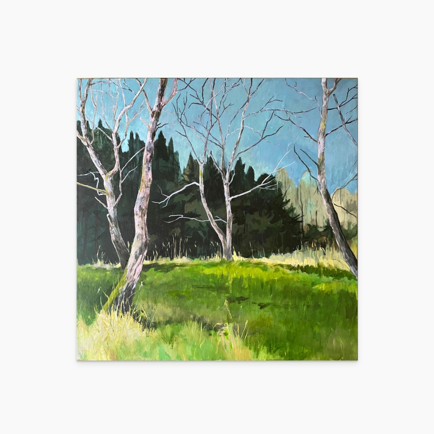 Wildschweine im Gebüsch